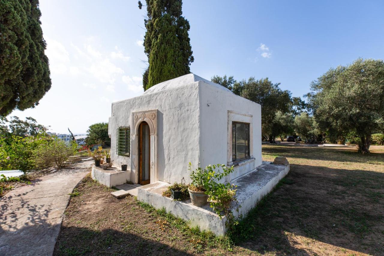 Lella Zohra, Studio Avec Piscine A Sidi Bou Said Bed and Breakfast Exteriör bild