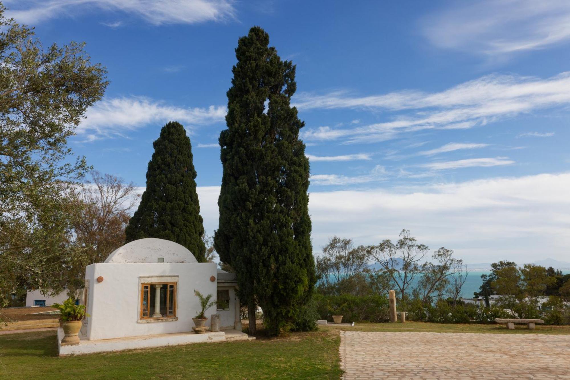 Lella Zohra, Studio Avec Piscine A Sidi Bou Said Bed and Breakfast Exteriör bild
