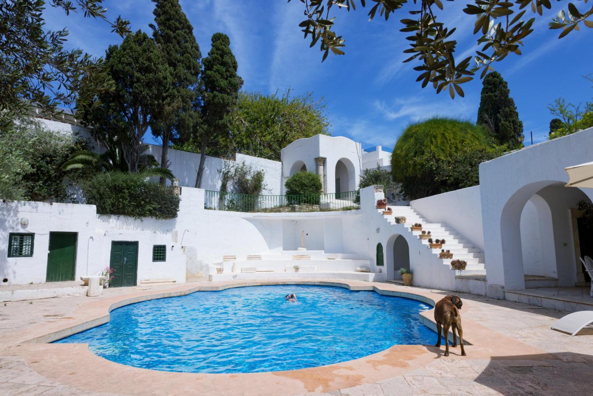 Lella Zohra, Studio Avec Piscine A Sidi Bou Said Bed and Breakfast Exteriör bild