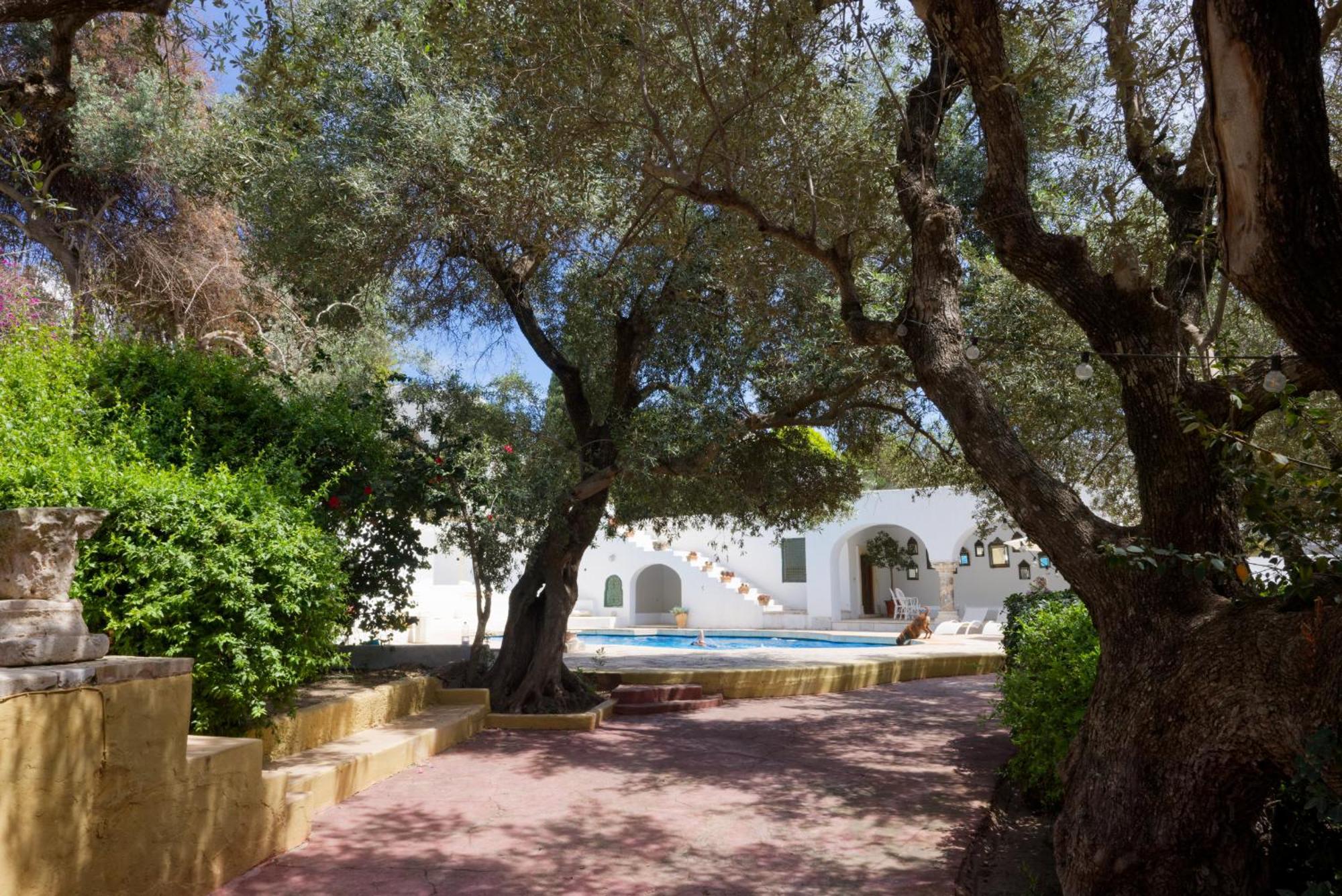 Lella Zohra, Studio Avec Piscine A Sidi Bou Said Bed and Breakfast Exteriör bild